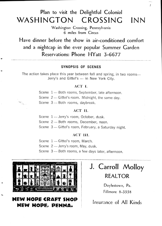 'Two for the Seesaw' 1960 playbill, page 6